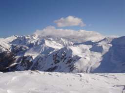 081124_A_siamo in 55.JPG